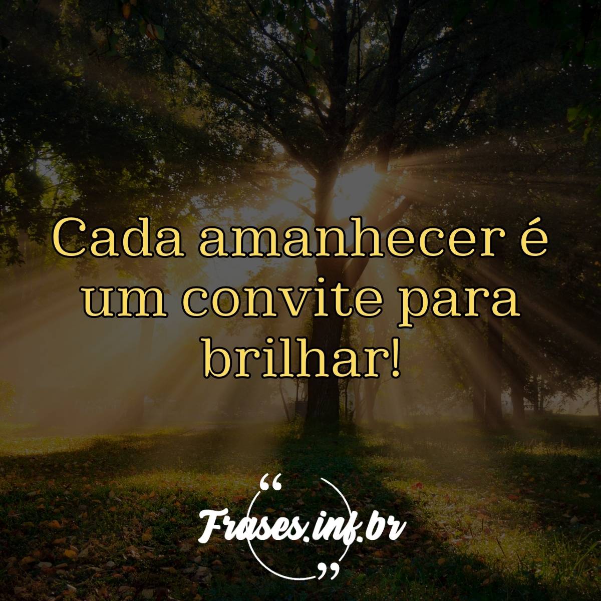 Frases de Pensamentos Positivos e de Otimismo!