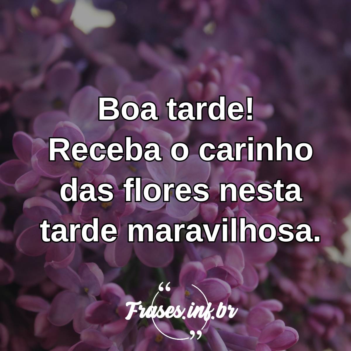 Mensagem de boa tarde com flores: linda, para Whatsapp, vermelhas, amarelas