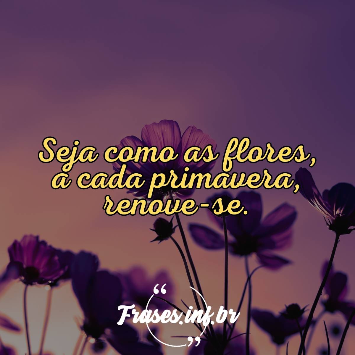 frases bonitas para Facebook