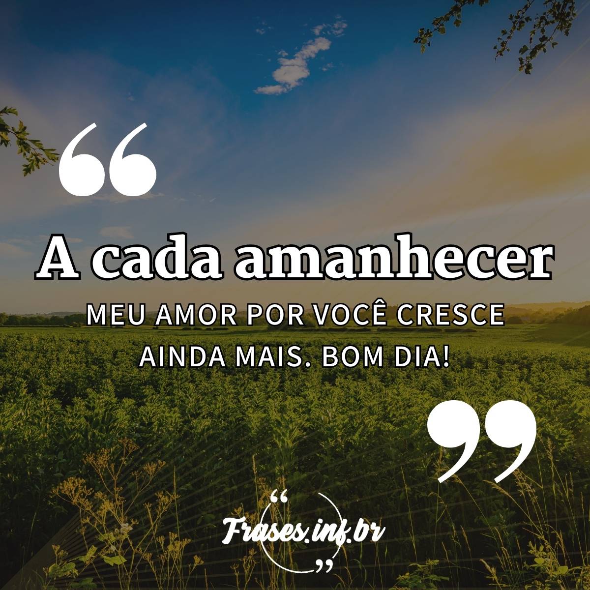 Mensagem de bom dia para amor / Mensagem de bom dia para esposa com amor