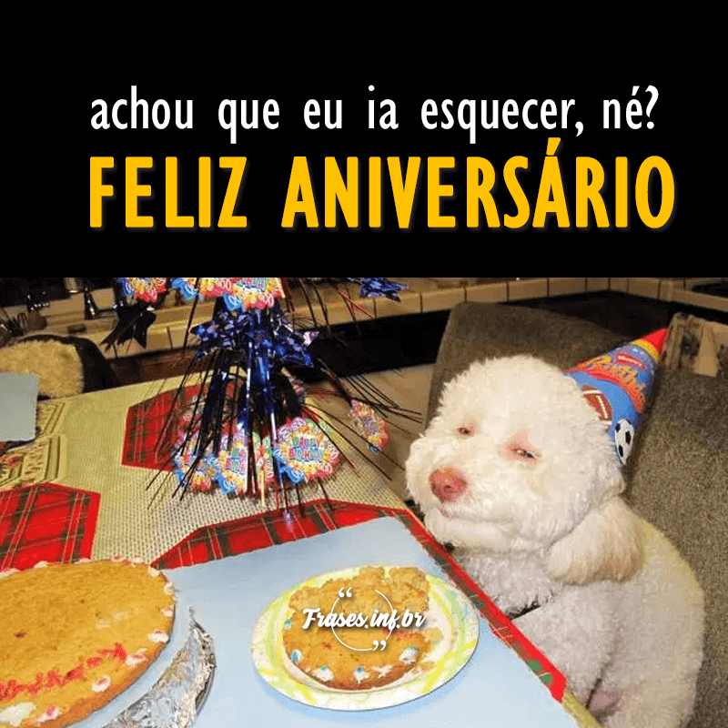 Feliz aniversário amiga engraçado