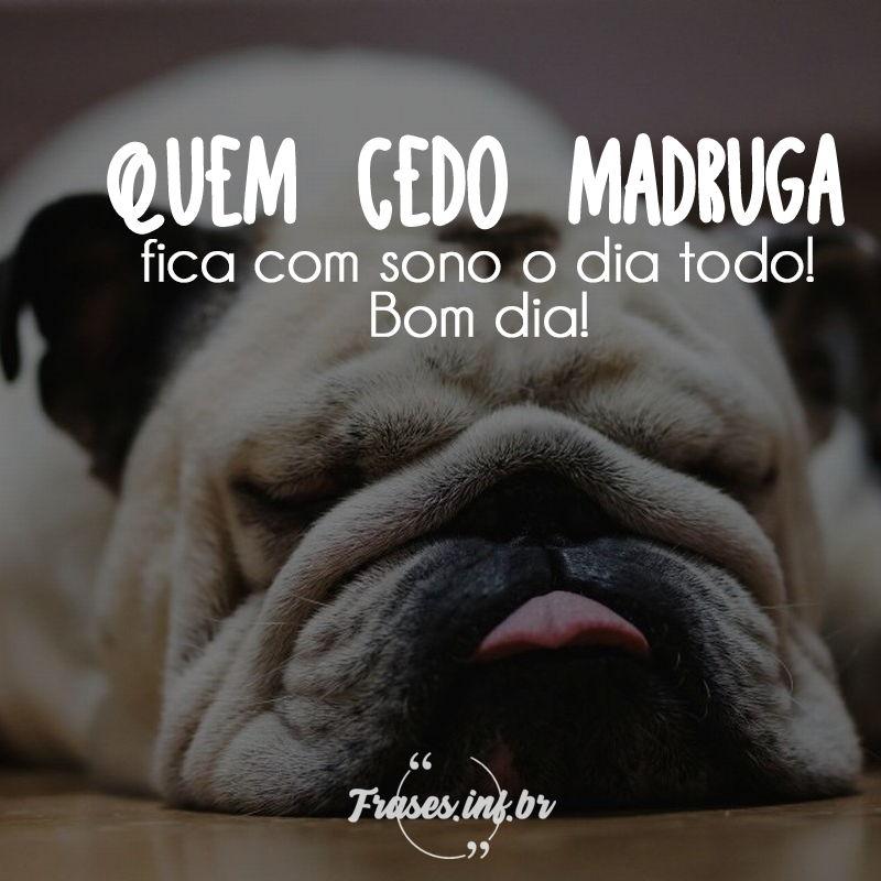 Frase de Bom Dia Engraçada