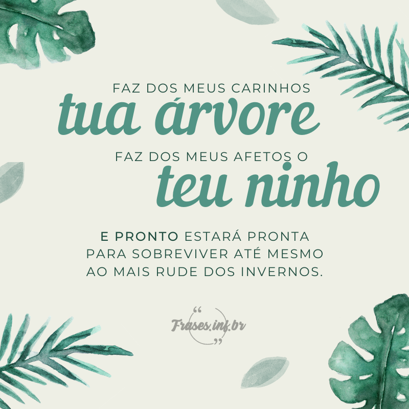 frase de carinho para o amor