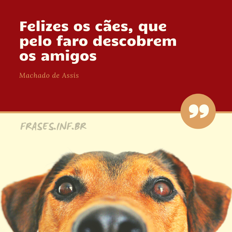 Frase Machado de Assis