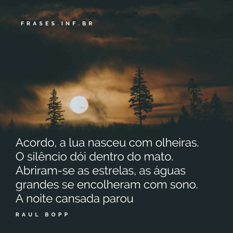 Frase Raul Bopp