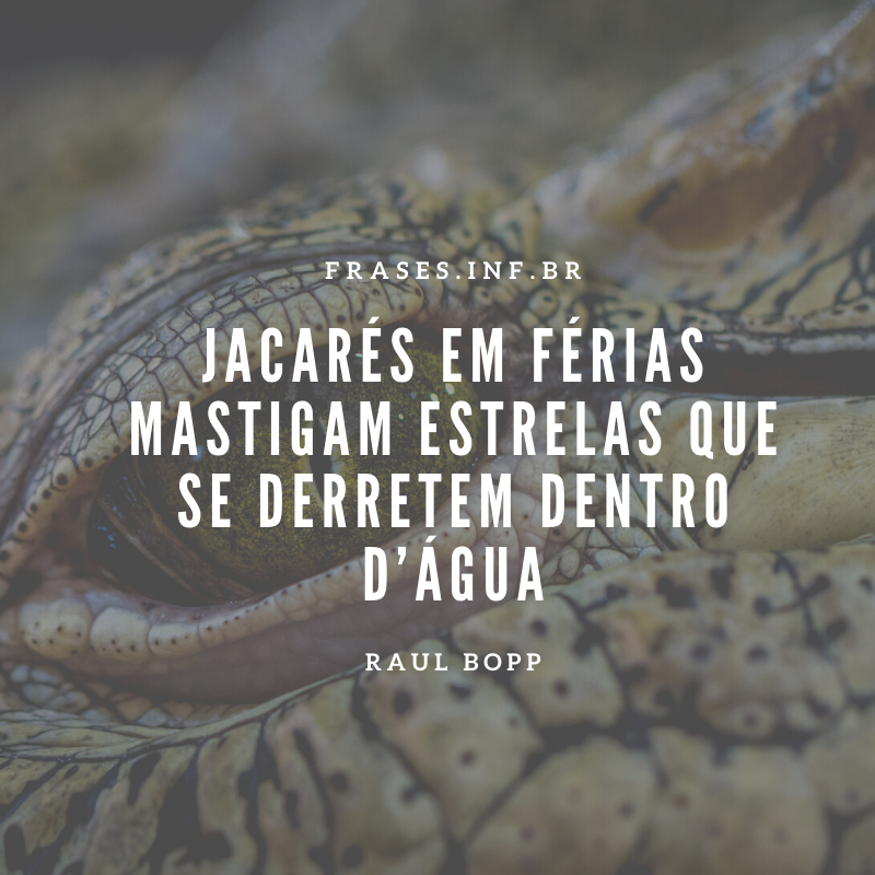 Frase Raul Bopp