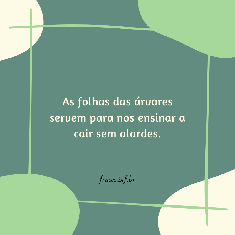 frases de Manoel de Barros