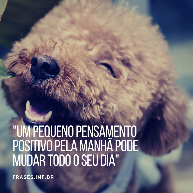 Frase de foto sorrindo e positividade