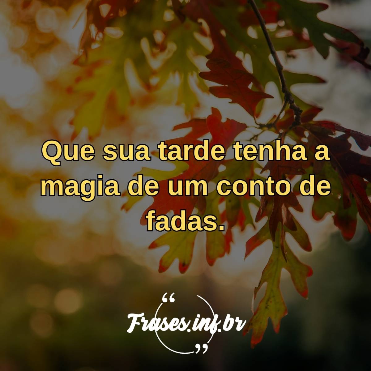 frases de boa tarde