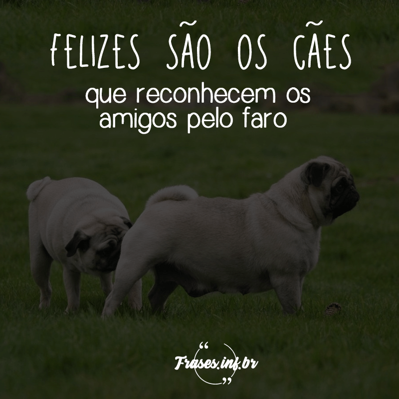 Frase de Amizade