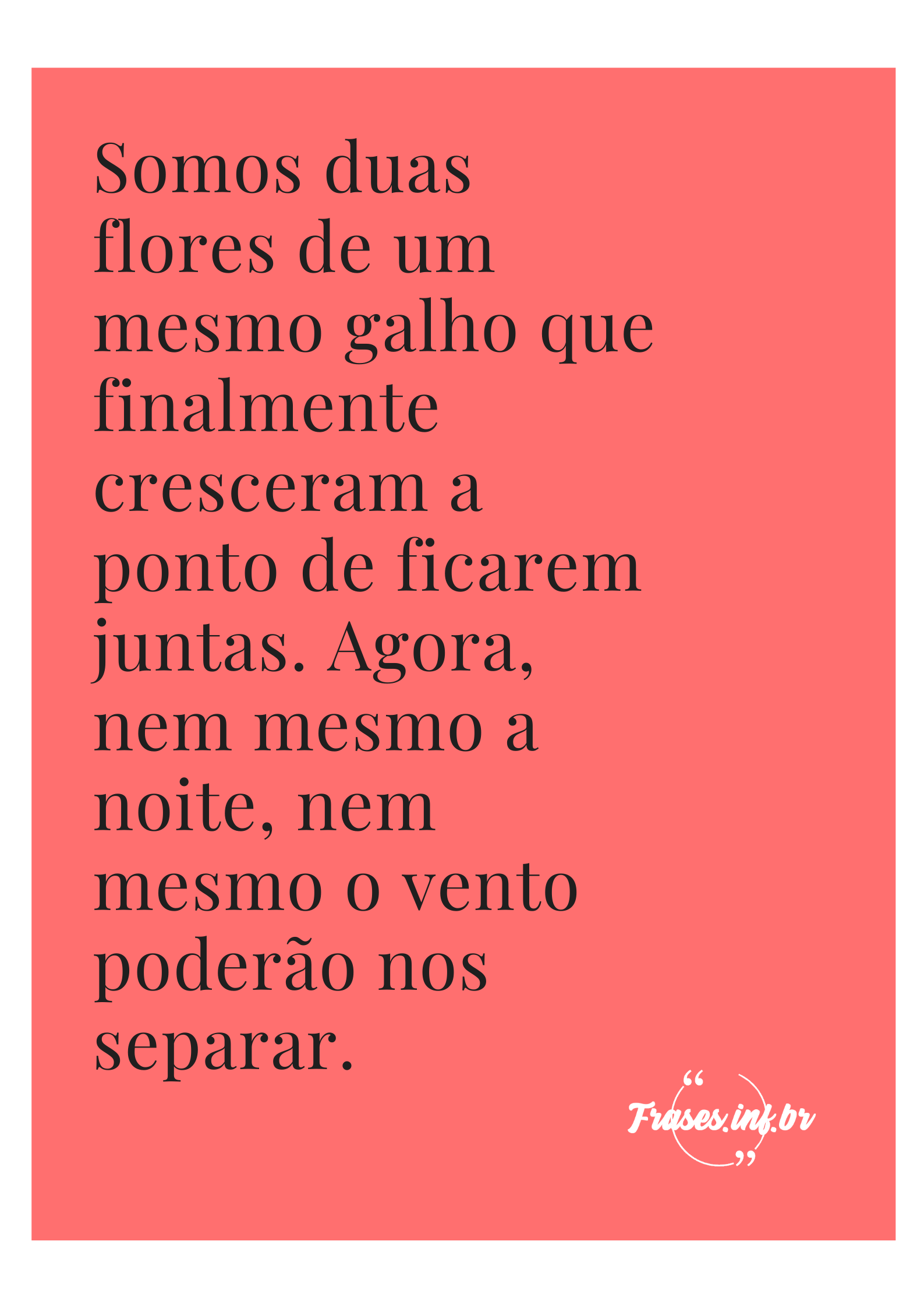 Somos duas flores de um mesmo galho que finalmente cresceram a ponto de ficarem juntas. Agora, nem mesmo a noite, nem mesmo o vento poderão nos separar