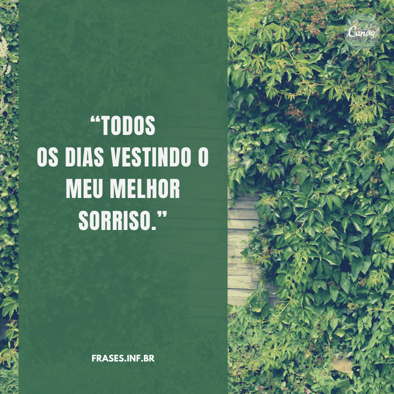 Frases para o Instagram - Bio Descontraída